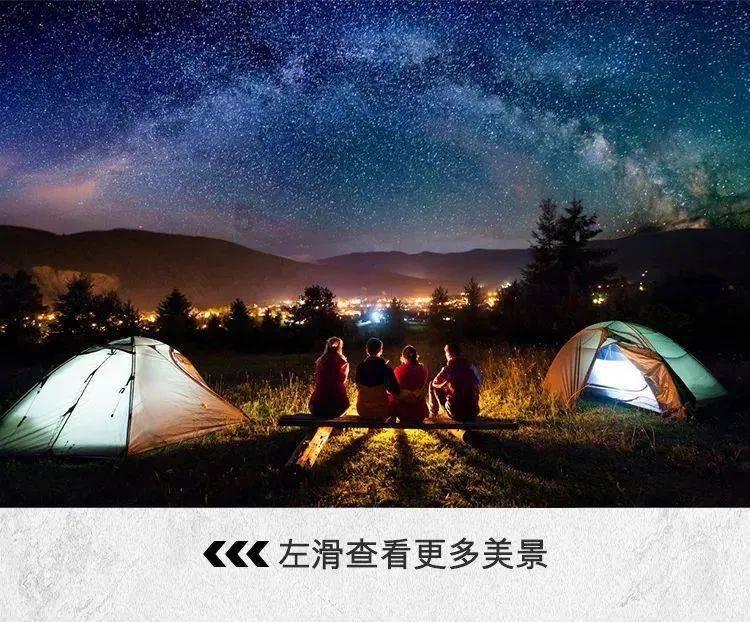 疯狂的小偷